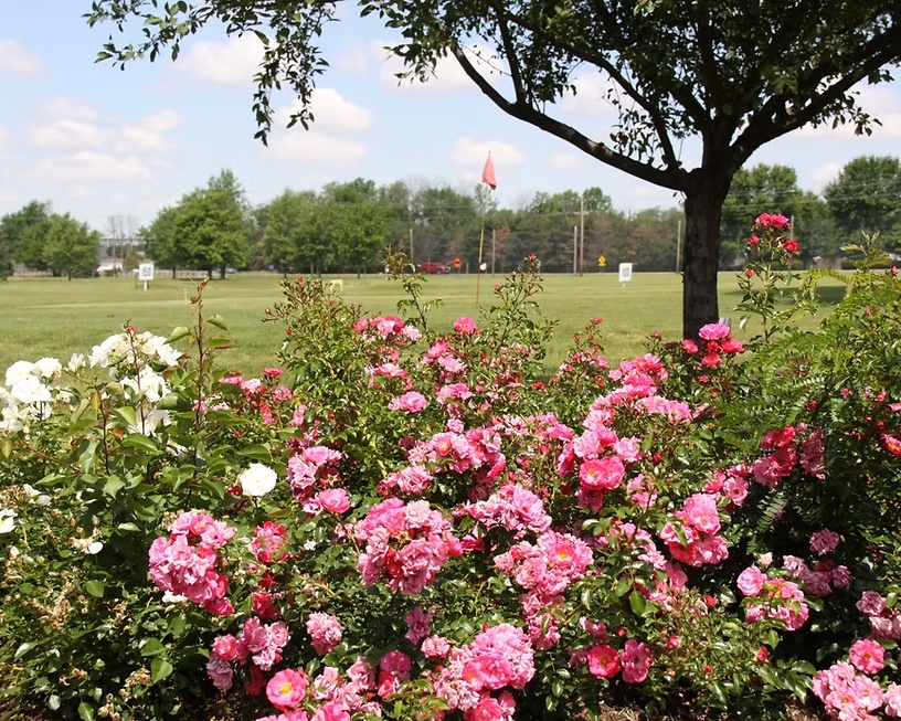 S24 E186: The Future of Shady Grove and Data Centers